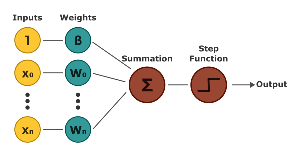 perceptron diagram with bias attached